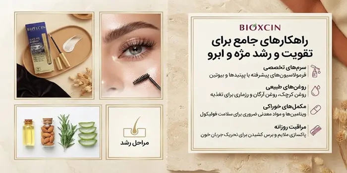 انواع روش های تقویت رشد مژه و ابرو 54156312