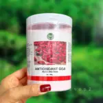 ماسک هیدروژلی گوجی بری بست کلین