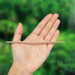 پوشر ناخن چوبی بسته 100 عددی اسکای وی 65456312